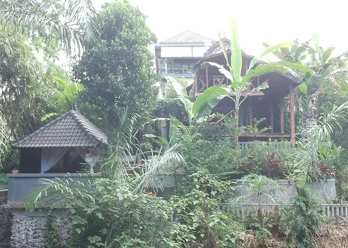 Vakantiehuis Secluded Jungle W Private Pool & Serene View *