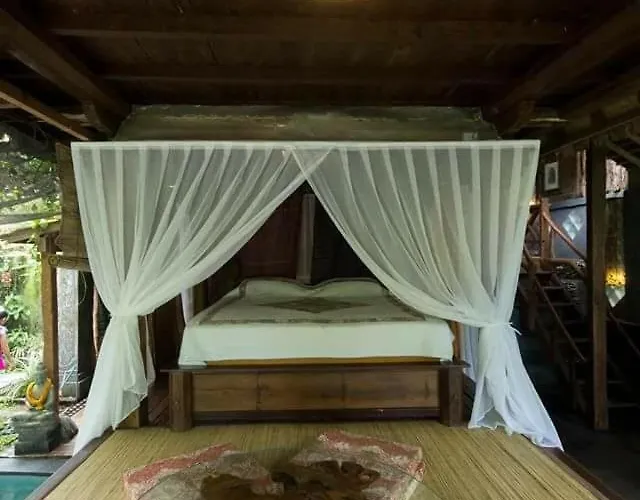 Secluded Jungle W Private Pool & Serene View Vakantiehuis *
